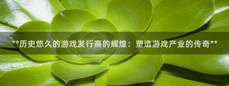 新宝gg是合法的吗：**历史悠久的游戏发行商的辉煌：塑造游戏产业的传奇**